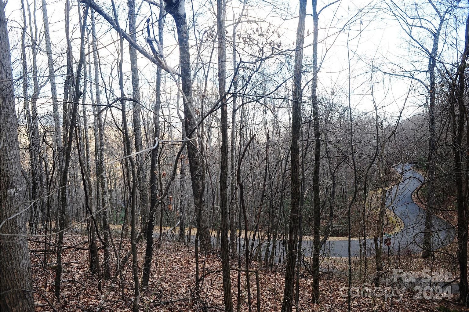 Property in Buncombe